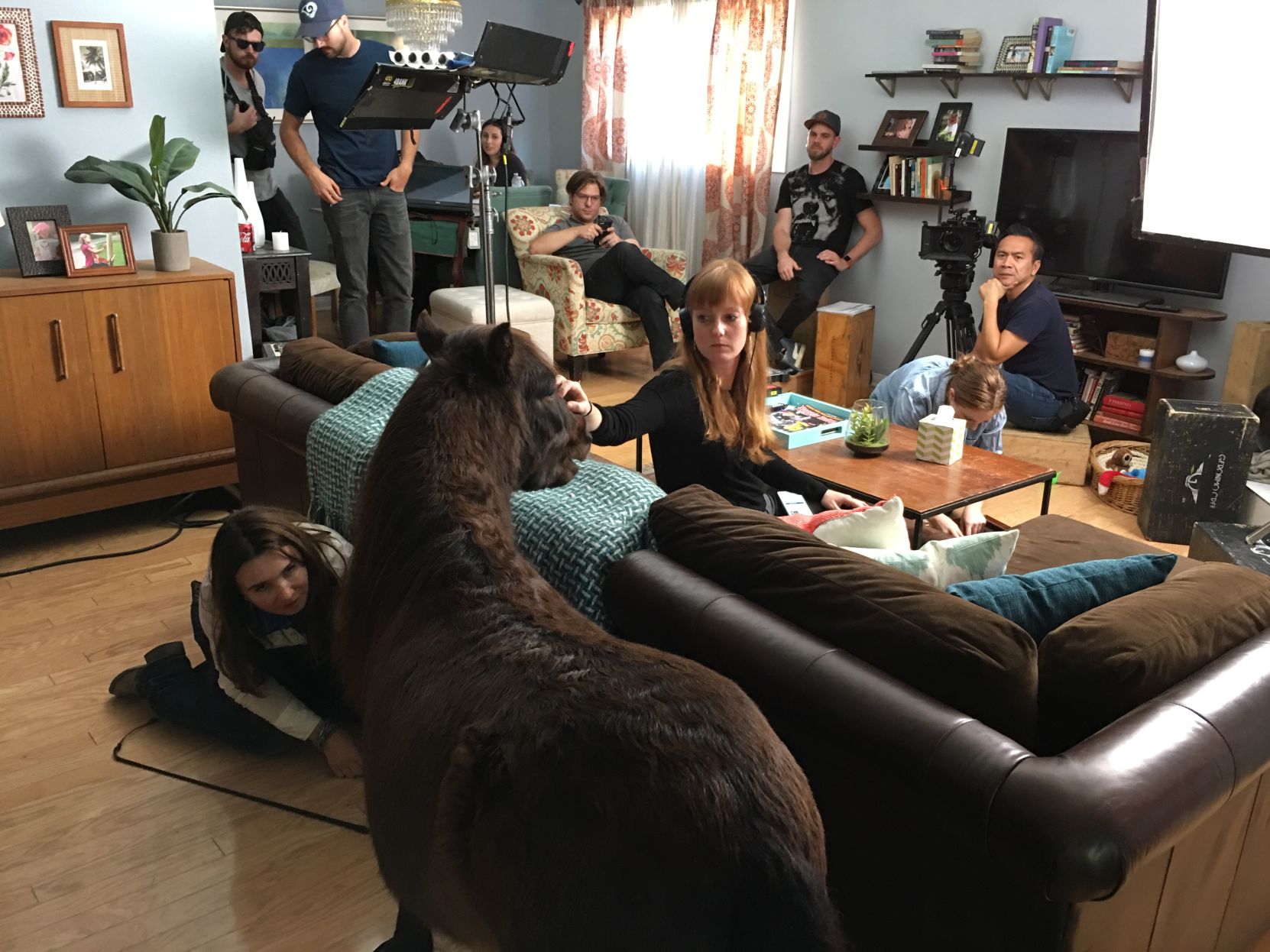 190206.life.horse.rother.JH.(2).JPG